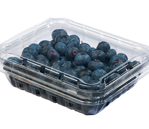 Arándanos 1kg